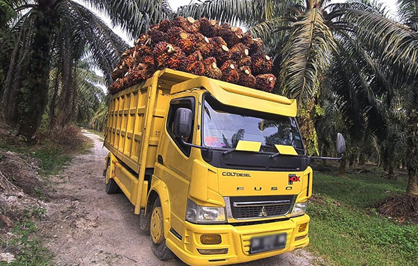 Layanan Angkutan Darat Inti Sawit